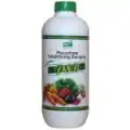Phosphate Solubilizing Bacteria